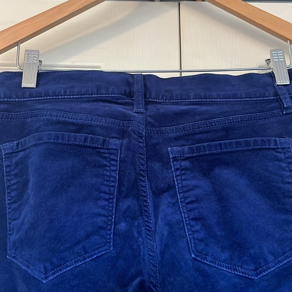 Loft Blue Velvet Pants - Picture 5 of 9